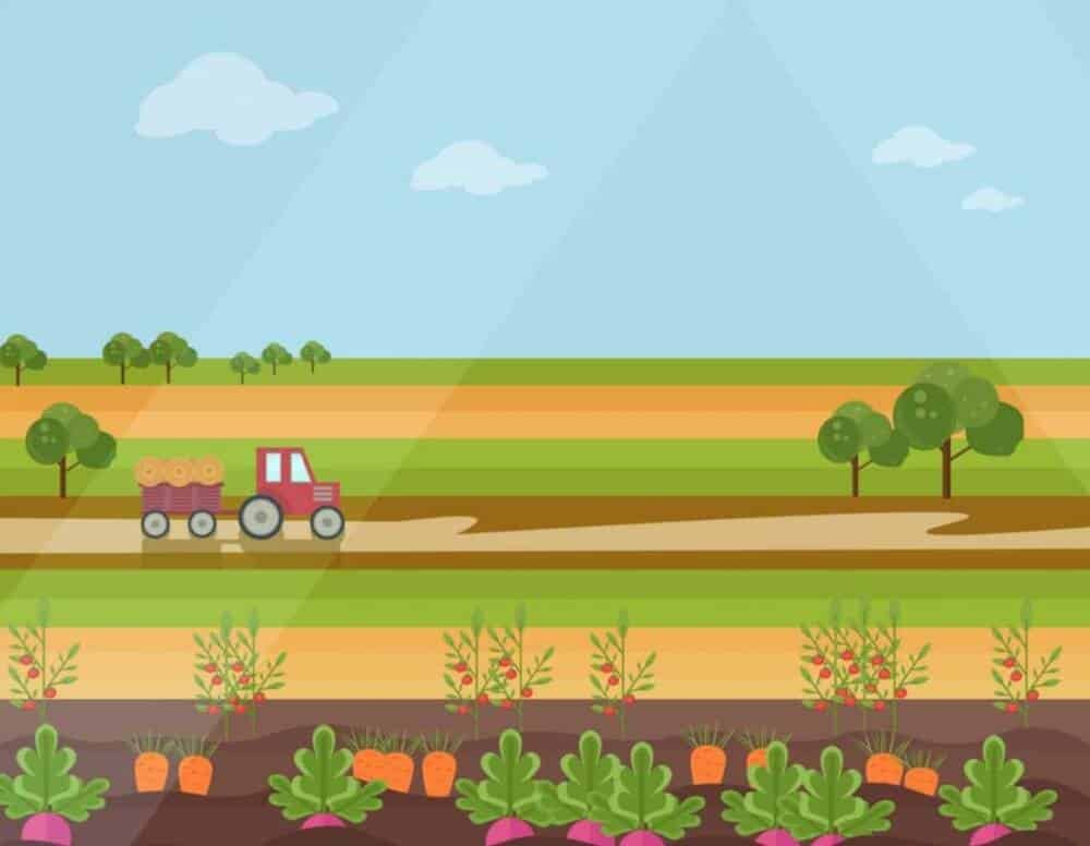 Land Law In Bangladesh - Rules &Amp; Regulations &Amp; Everything You Need To Know 14 Screenshot 2019 10 22 At 6.22.54 Pm
