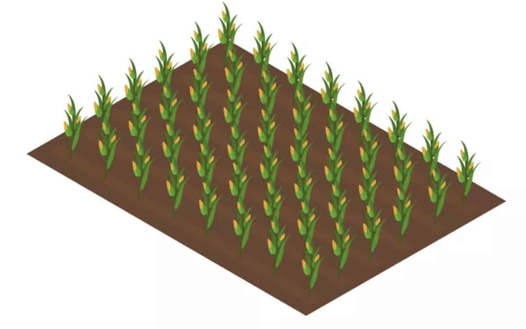 Land grabbing law or laws for unlawful possession in Bangladesh