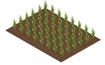 Land grabbing law or laws for unlawful possession in Bangladesh