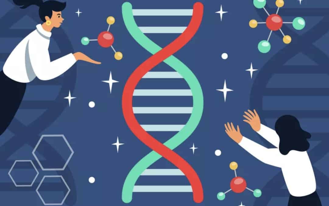 Inheritance law in Bangladesh