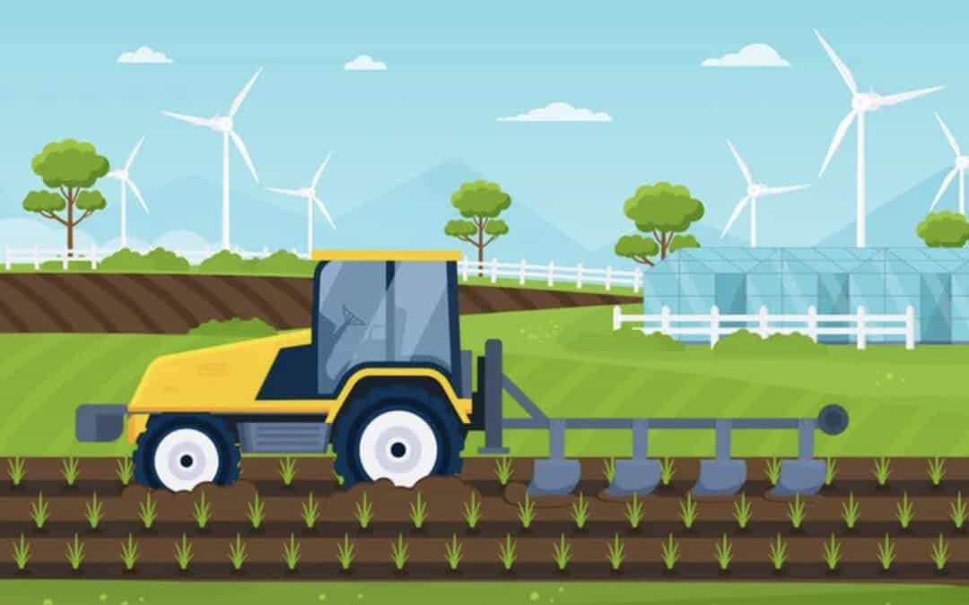 Environmental Clearance Certificate in 2024